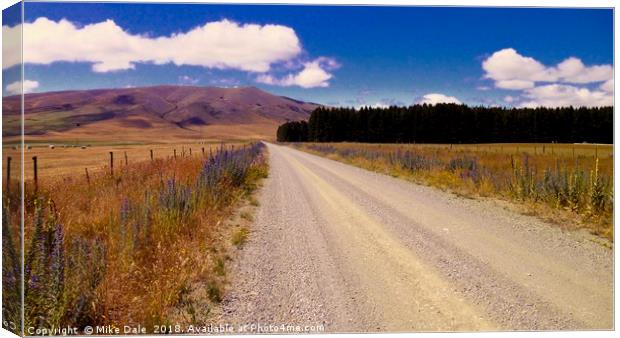 Gravel road across the Canterbury plains, New Zeal Canvas Print by Mike Dale
