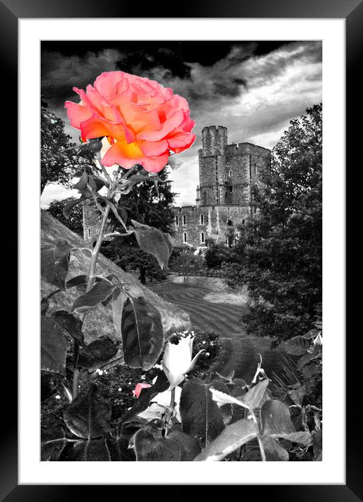 Windsor Castle home to the Queen Berkshire Framed Mounted Print by Andy Evans Photos