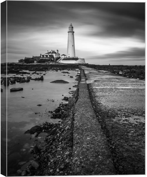 St Marys Lighthouse on the Northumbrian coastline Canvas Print by George Robertson