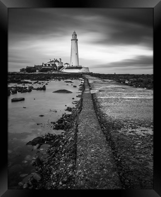 St Marys Lighthouse on the Northumbrian coastline Framed Print by George Robertson