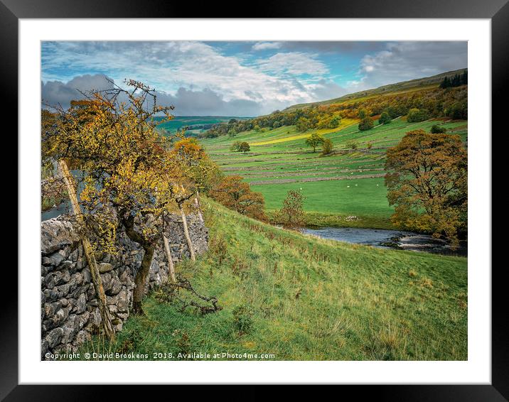 Autumn Afternoon in Wharfedale Framed Mounted Print by David Brookens