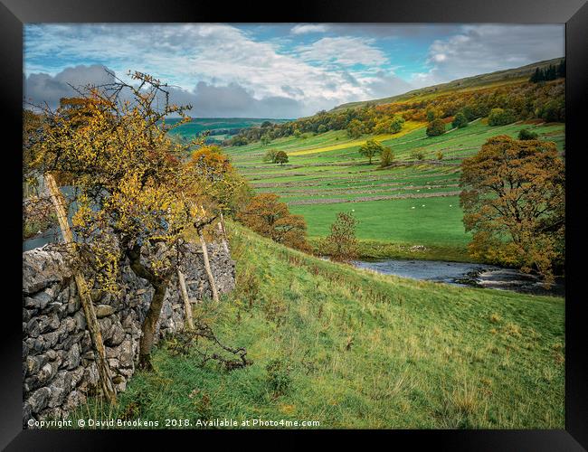 Autumn Afternoon in Wharfedale Framed Print by David Brookens