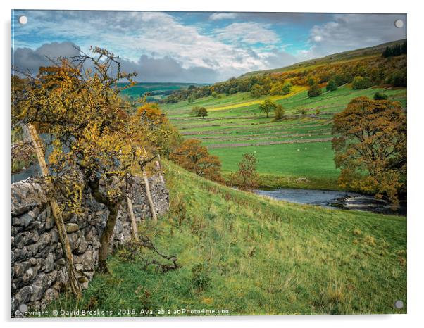 Autumn Afternoon in Wharfedale Acrylic by David Brookens