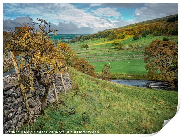 Autumn Afternoon in Wharfedale Print by David Brookens