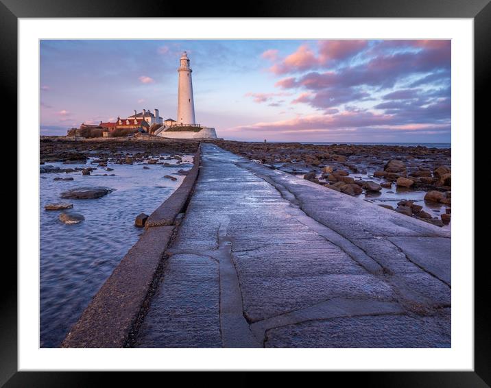 St Marys Lighthouse on Northumbrian Coast Framed Mounted Print by George Robertson