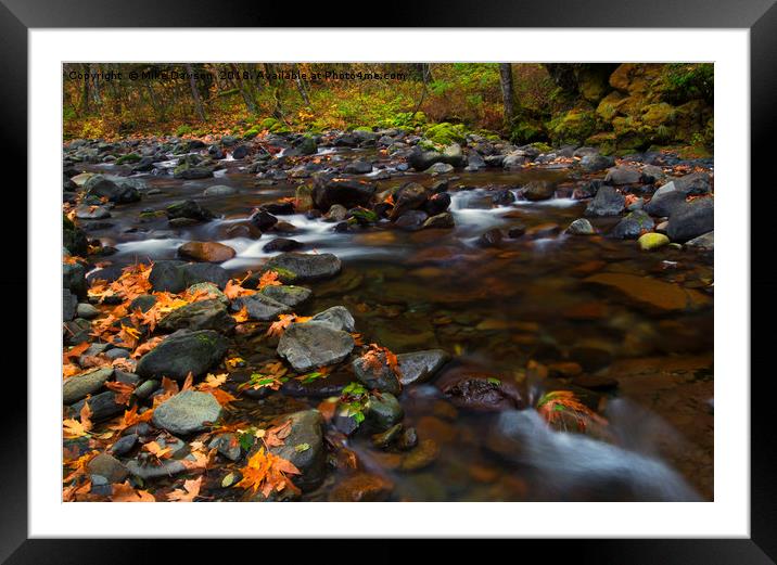 Fallen along the Way Framed Mounted Print by Mike Dawson