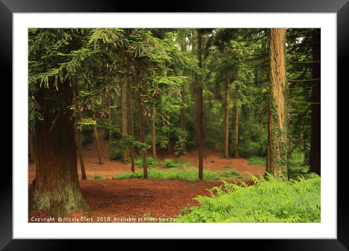 Lost In The Woods Framed Mounted Print by Nicola Clark