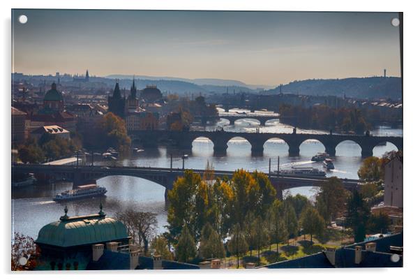 Bridges of Prague Acrylic by Ceri Jones