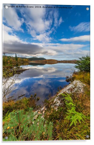 Bodgynydd Lake Snowdonia Acrylic by Adrian Evans