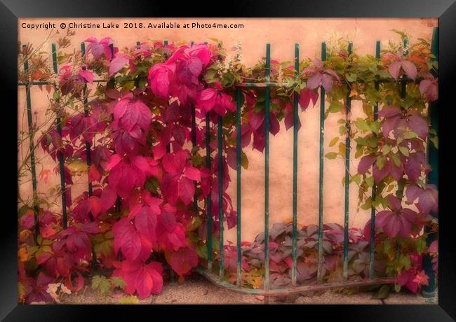 Victorian Autumn Framed Print by Christine Lake