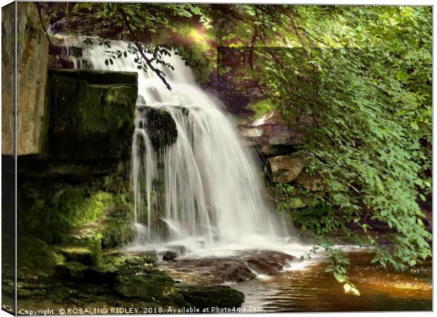 "Shaft of light at the waterfall" Canvas Print by ROS RIDLEY