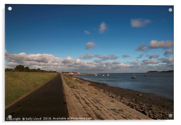 Windy walk at Wells-next-the-Sea Acrylic by Sally Lloyd