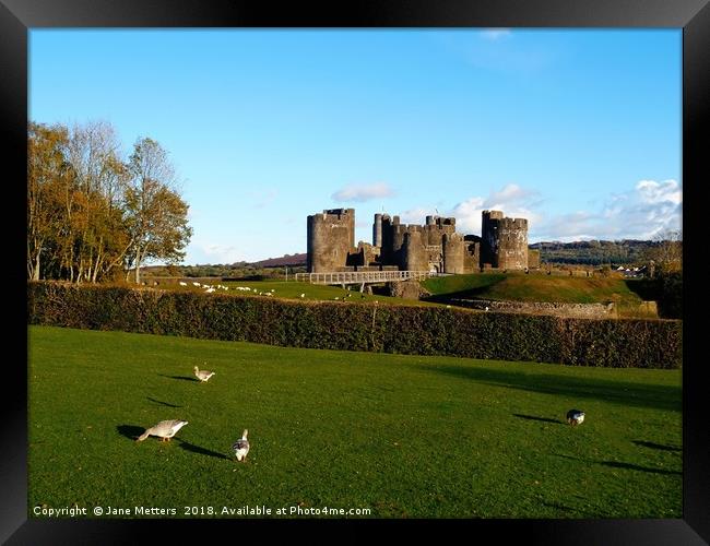 Life around the Castle Framed Print by Jane Metters