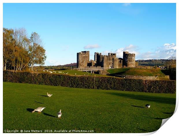 Life around the Castle Print by Jane Metters
