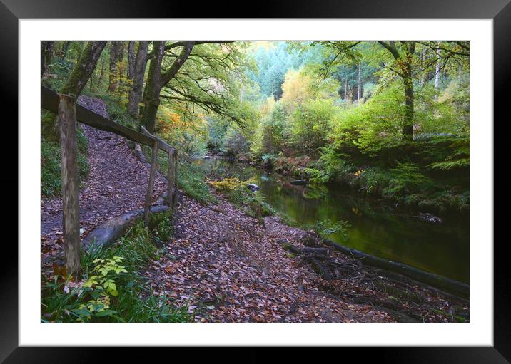 Autumn on the Teign Framed Mounted Print by David Neighbour