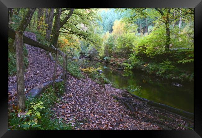 Autumn on the Teign Framed Print by David Neighbour