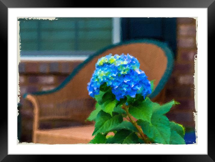 Blue Hydrangea on Porch Framed Mounted Print by Darryl Brooks