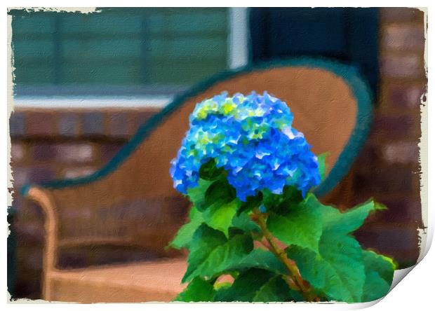 Blue Hydrangea on Porch Print by Darryl Brooks