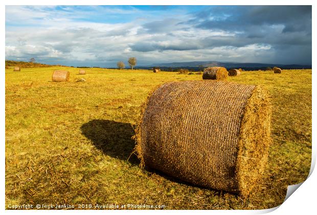 Bracken Bales in the Brecon Beacons Print by Nick Jenkins
