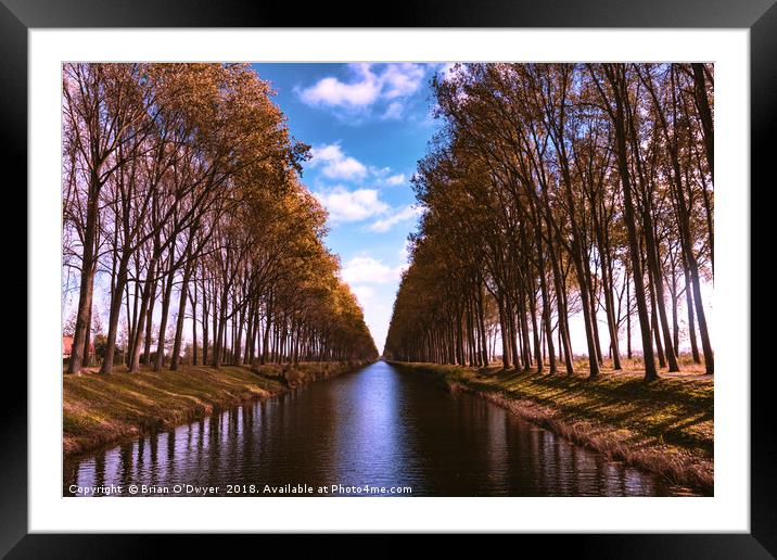 Damme Canal Framed Mounted Print by Brian O'Dwyer