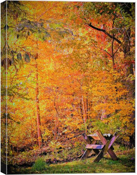 Autumn Magic Canvas Print by Frankie Cat