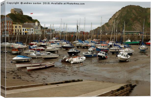 ILFRACOMBE HARBOUR  Canvas Print by andrew saxton