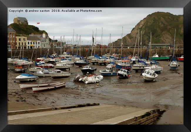 ILFRACOMBE HARBOUR  Framed Print by andrew saxton