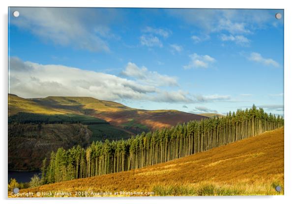 Waun Rydd Brecon Beacons National Park Powys Autum Acrylic by Nick Jenkins