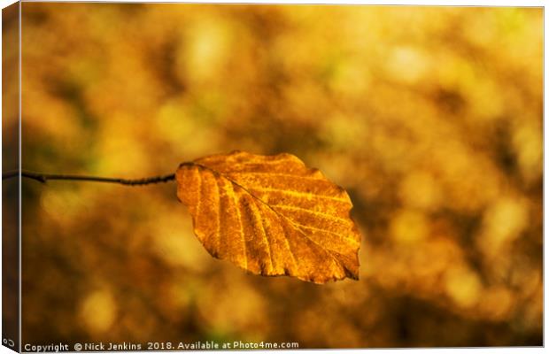 Lonely Golden Brown Autumn Beech Leaf  Canvas Print by Nick Jenkins