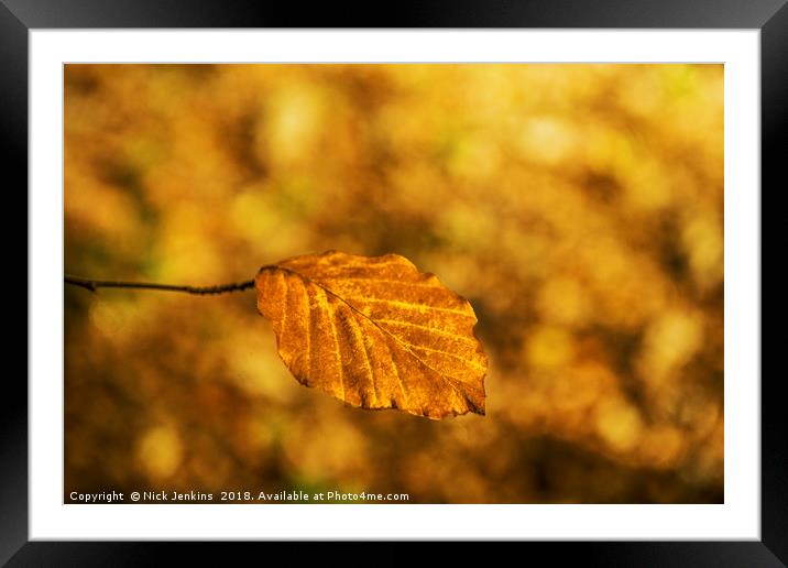 Lonely Golden Brown Autumn Beech Leaf  Framed Mounted Print by Nick Jenkins