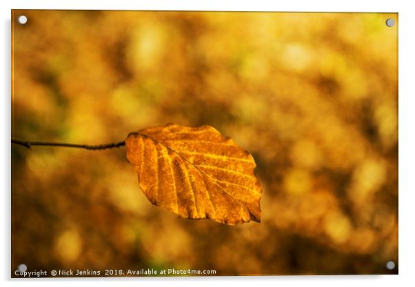 Lonely Golden Brown Autumn Beech Leaf  Acrylic by Nick Jenkins
