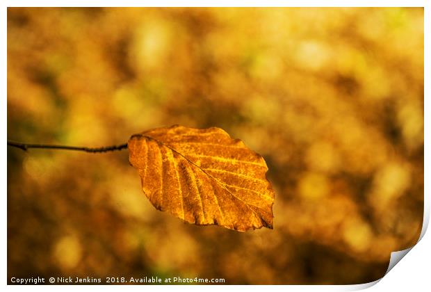 Lonely Golden Brown Autumn Beech Leaf  Print by Nick Jenkins