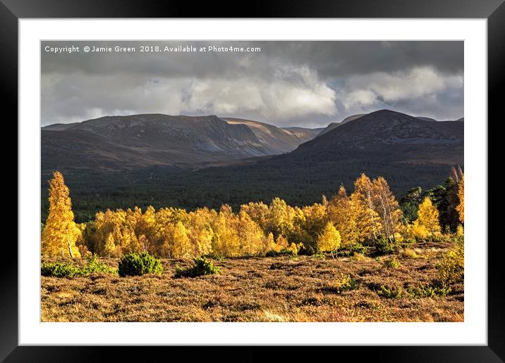 Autumn in the Cairngorms Framed Mounted Print by Jamie Green