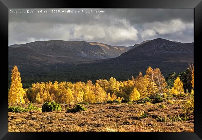 Autumn in the Cairngorms Framed Print by Jamie Green