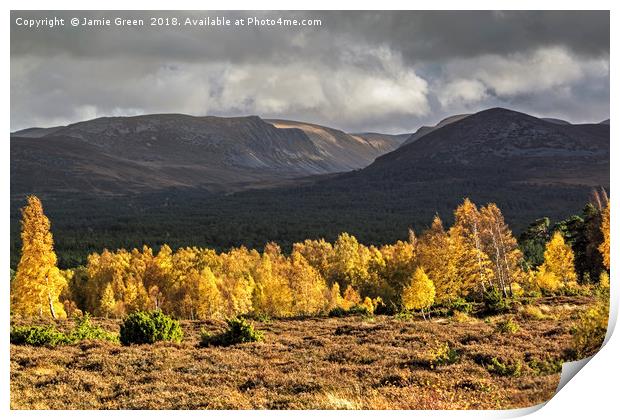 Autumn in the Cairngorms Print by Jamie Green