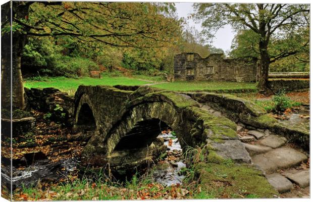 Wycoller Lancashire Canvas Print by Diana Mower