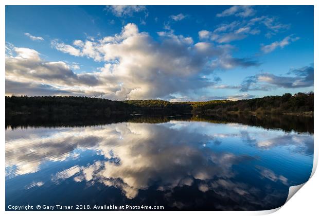 Reflections on Ogden Water Print by Gary Turner