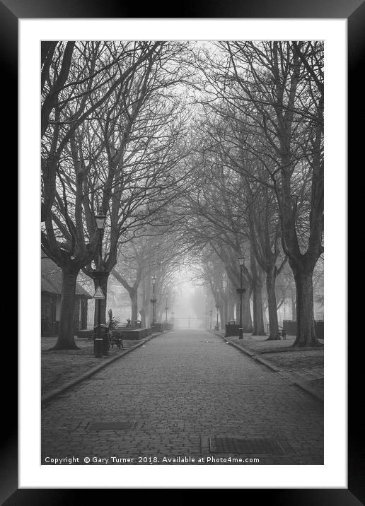 Avenue and Mist Framed Mounted Print by Gary Turner
