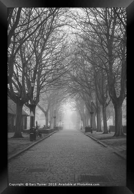 Avenue and Mist Framed Print by Gary Turner