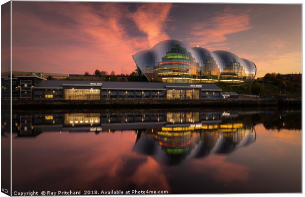 The Sage at Sunset Canvas Print by Ray Pritchard