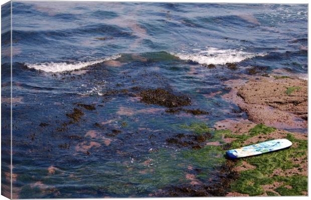 On the rocks Canvas Print by Simon J Beer