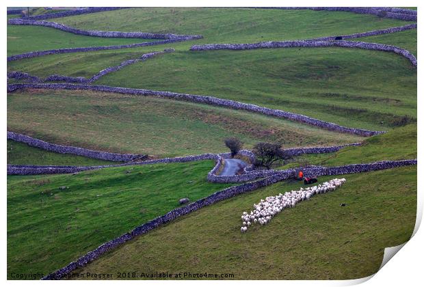 moving the flock Print by Stephen Prosser