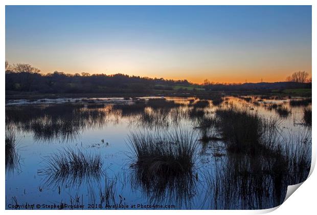 Peace on the marshes Print by Stephen Prosser