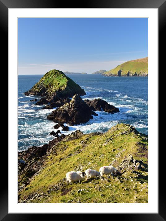 Dunmore Head Framed Mounted Print by barbara walsh