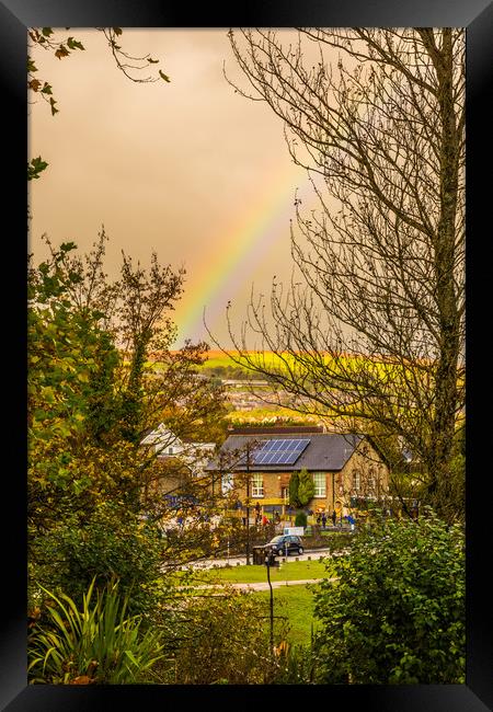 Rainbow Through The Trees Framed Print by Steve Purnell