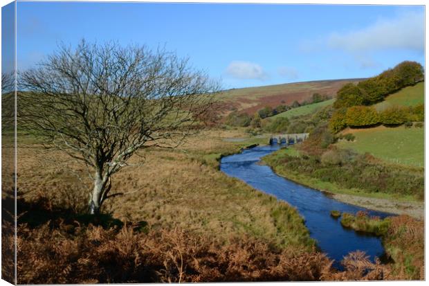 River Barle Canvas Print by David Neighbour