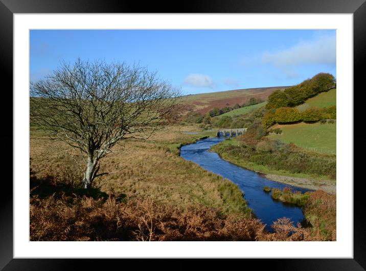 River Barle Framed Mounted Print by David Neighbour