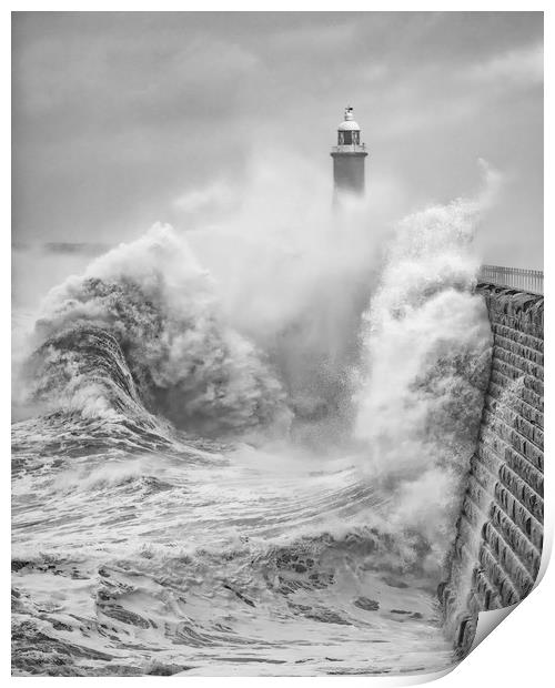 Storm Force Tynemouth Print by Paul Appleby