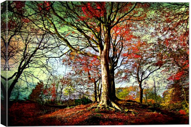 Tree on the Hill Canvas Print by Irene Burdell
