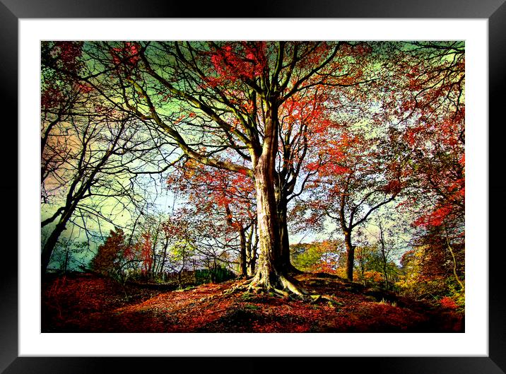 Tree on the Hill Framed Mounted Print by Irene Burdell